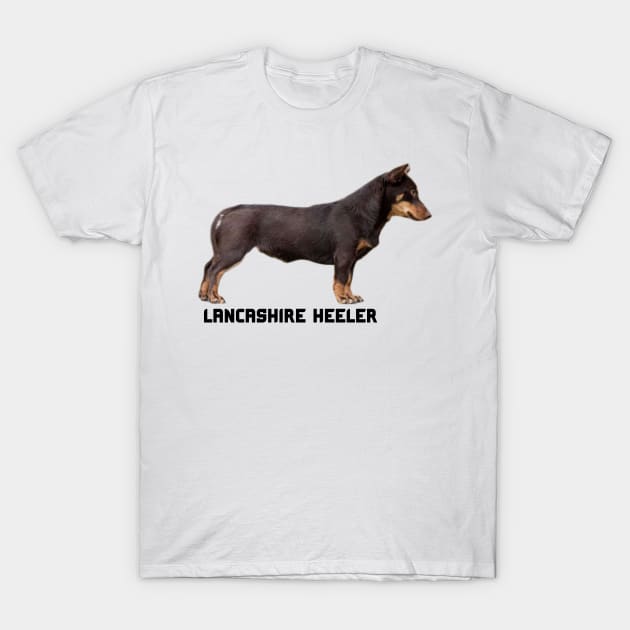 Lancashire Heeler Quote T-Shirt by 8ird